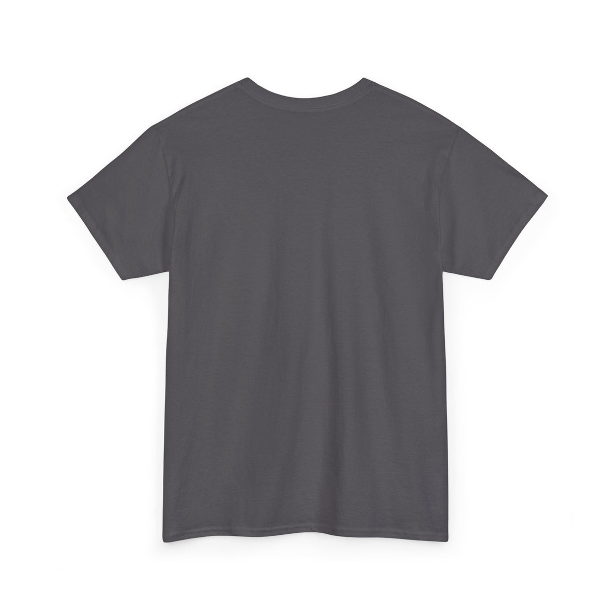 This Could Have Been An Email Tee
