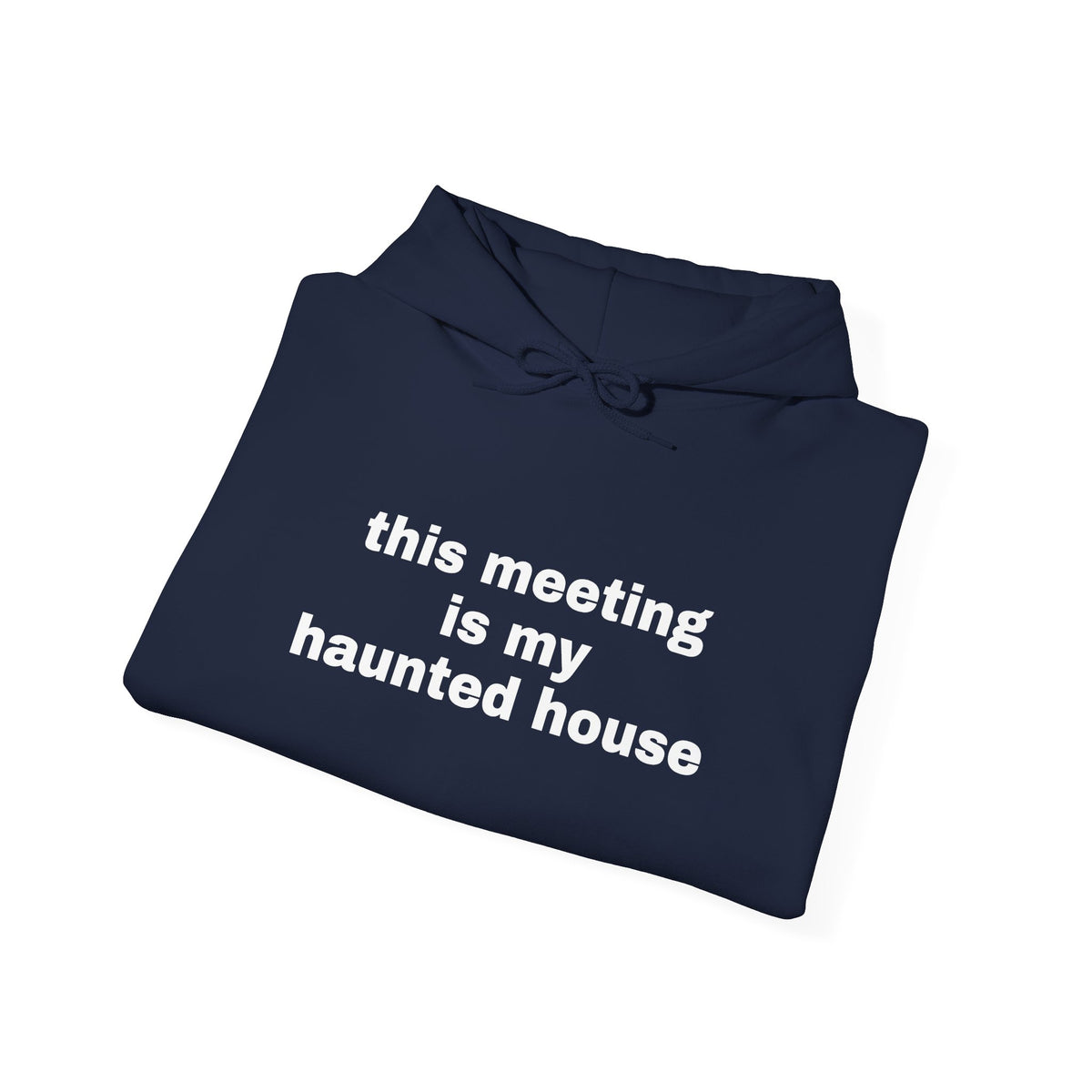 This Meeting Is My Haunted House Hoodie