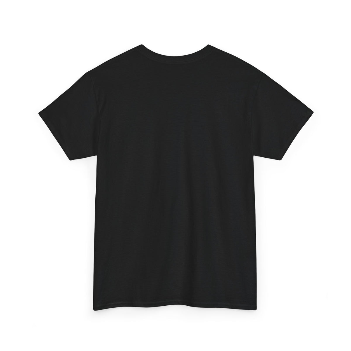 This Could Have Been An Email Tee