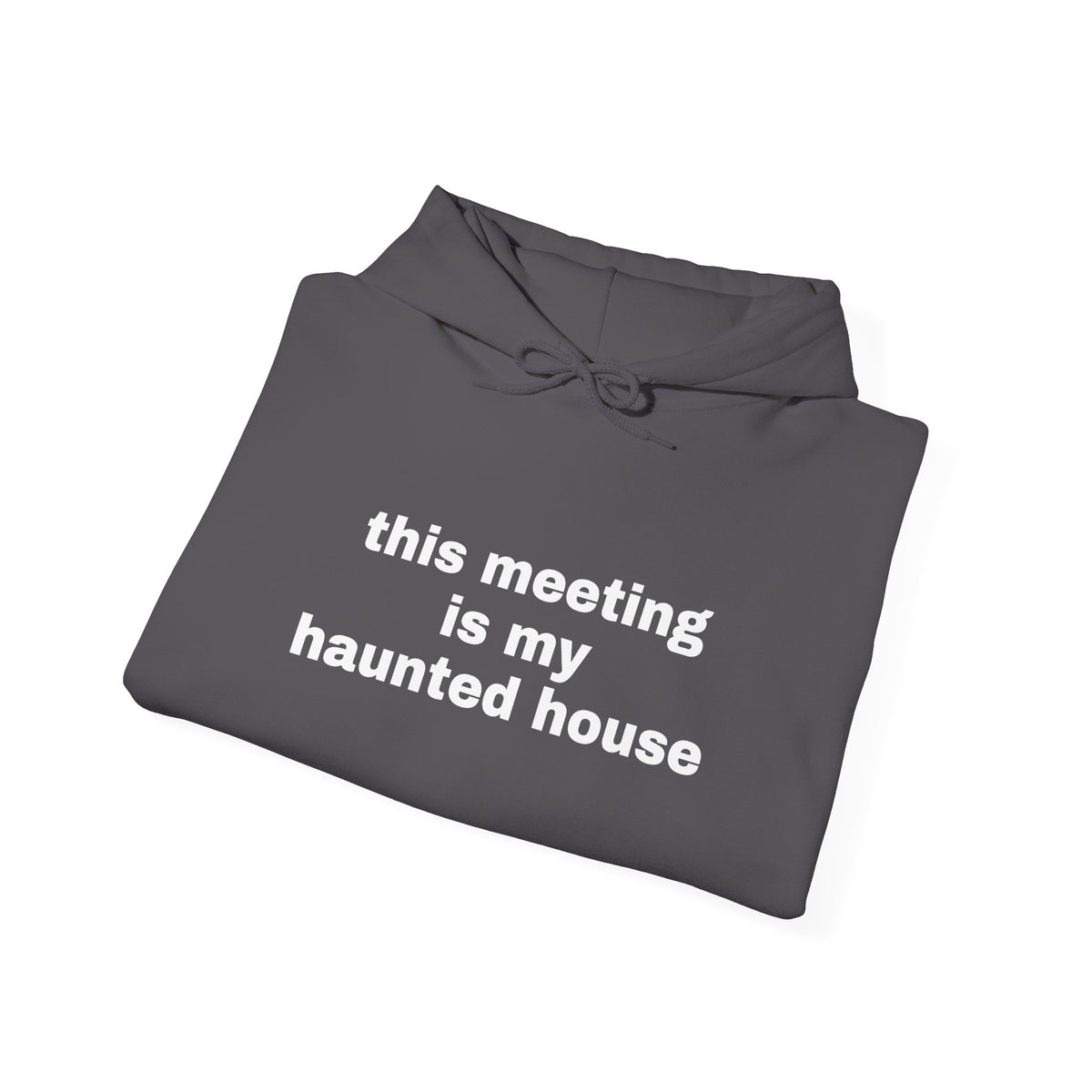This Meeting Is My Haunted House Hoodie