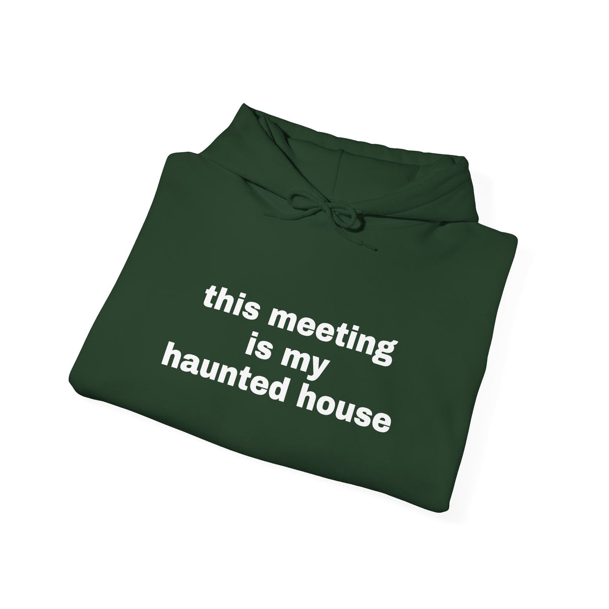 This Meeting Is My Haunted House Hoodie