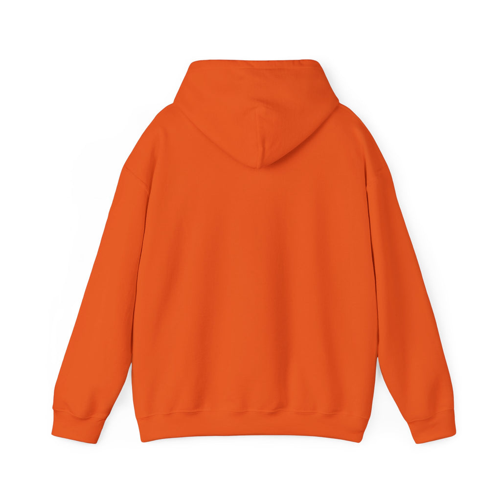 This Meeting Is My Haunted House Hoodie
