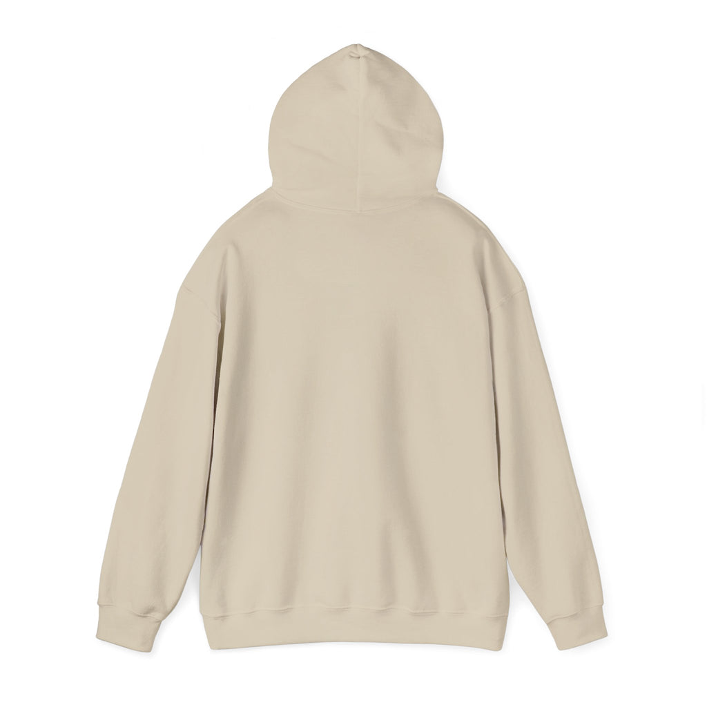 Per My Last Email Hoodie